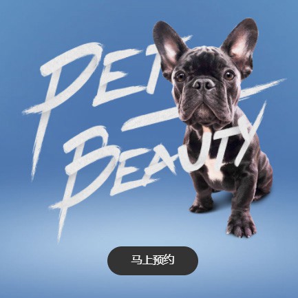 合作宠物中心小程序开发