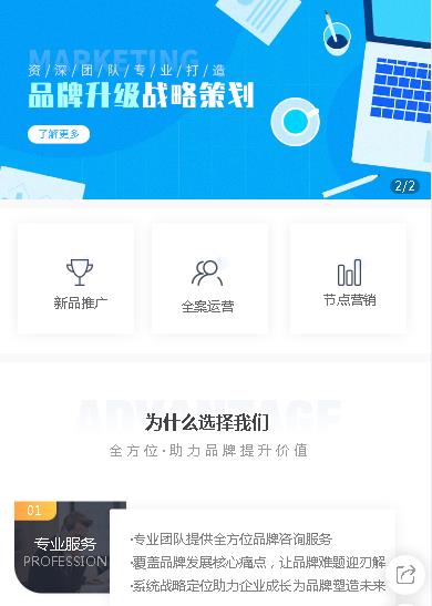 合作咨询策划小程序开发