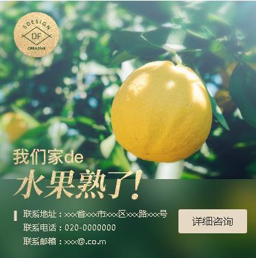 合作果园果林小程序开发